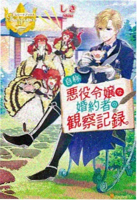 动画纲标本校对页：编号冲突标记与待核栏示例